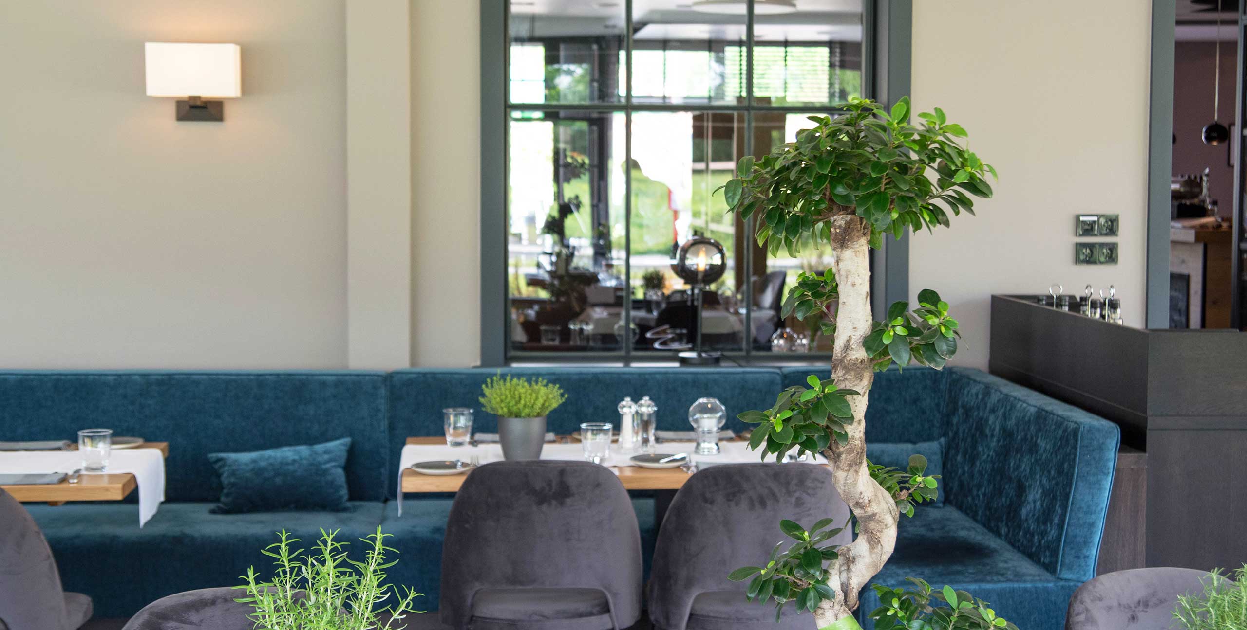 Grappolo d'Oro: das neue Glashaus